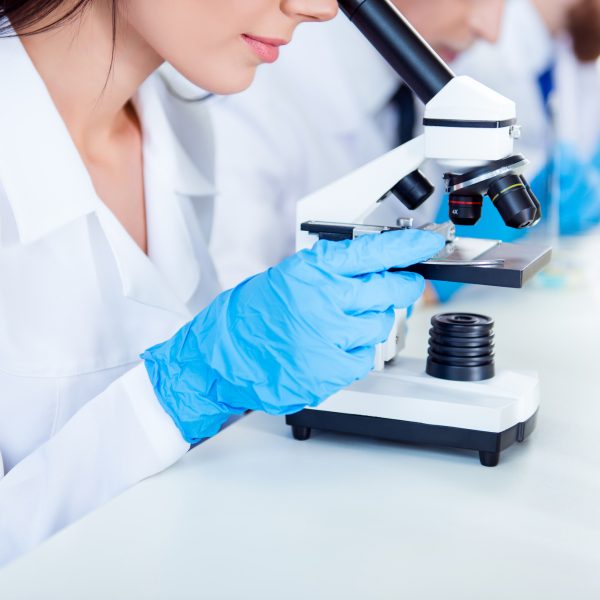 Close up cropped photo of work of the lab team. They are concentrated on discovering innovations of health industry